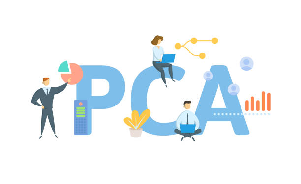 Empower Your Career with an Online PCA Certification