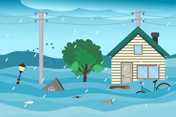 Flood Recovery 101: What You Need to Know