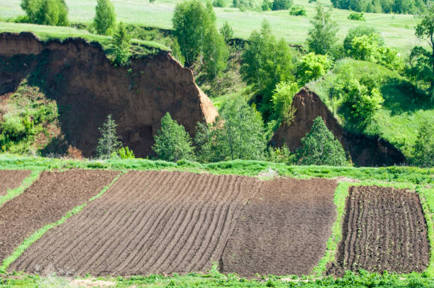 Common Causes of Soil Erosion and How to Prevent Them
